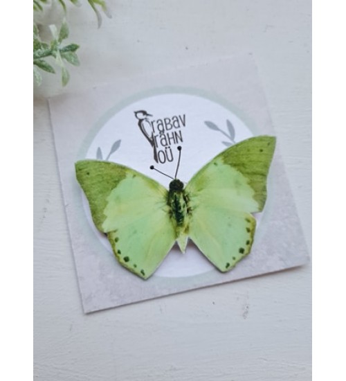 Mururohelist värvi liblikakujuline pross